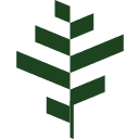 bgo Casino casino logo